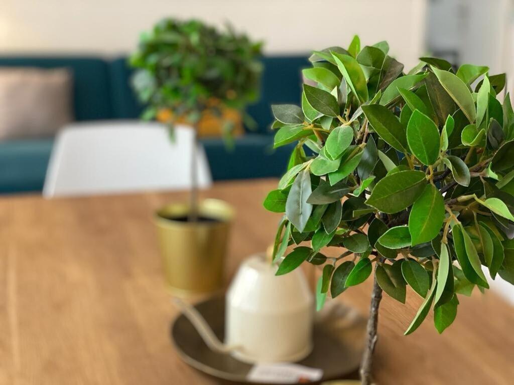 Apartament Le Cocon De Jeanne Rouen Zewnętrze zdjęcie