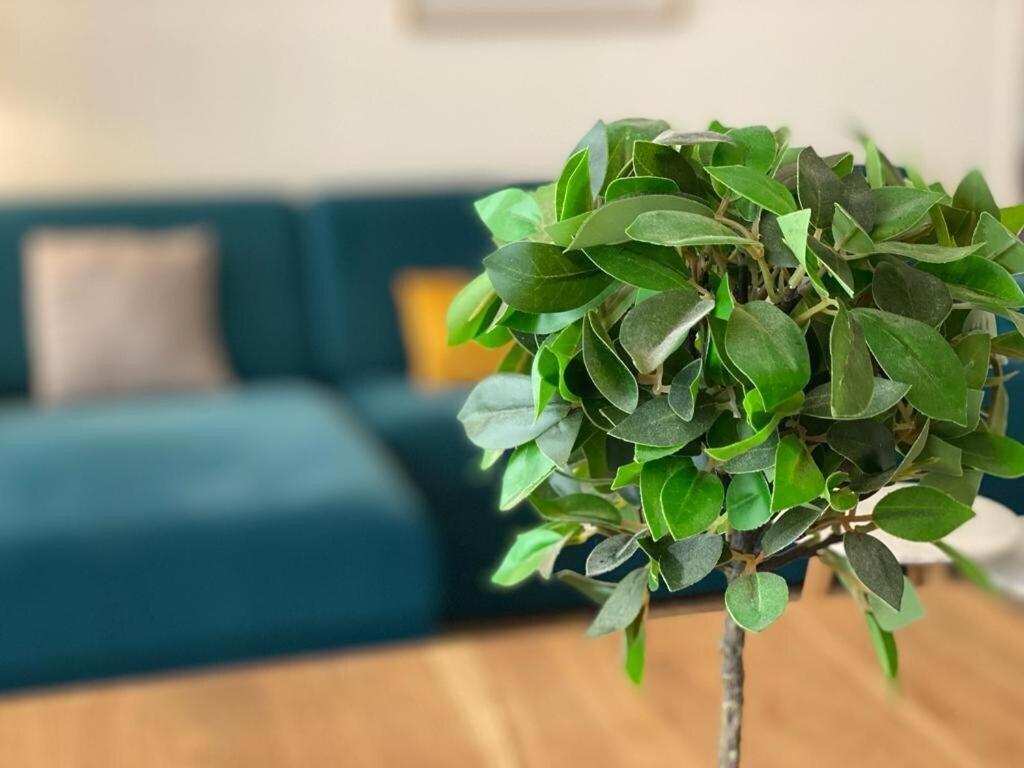 Apartament Le Cocon De Jeanne Rouen Zewnętrze zdjęcie